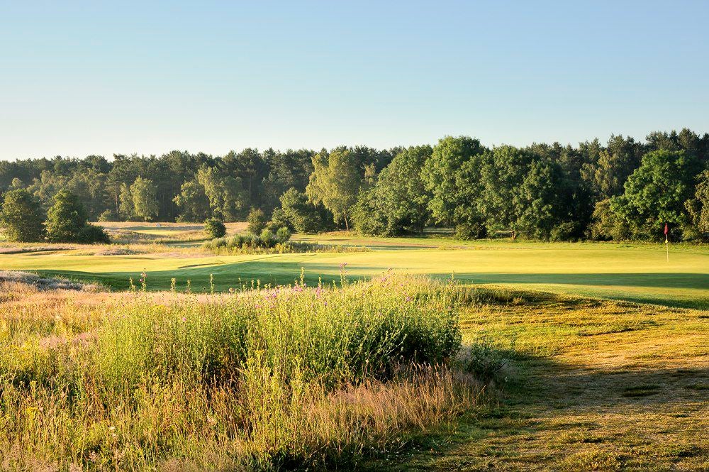 edese_golf_067.jpg