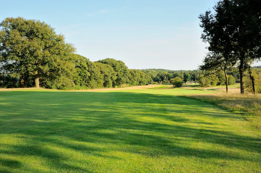 edese_golf_103.jpg