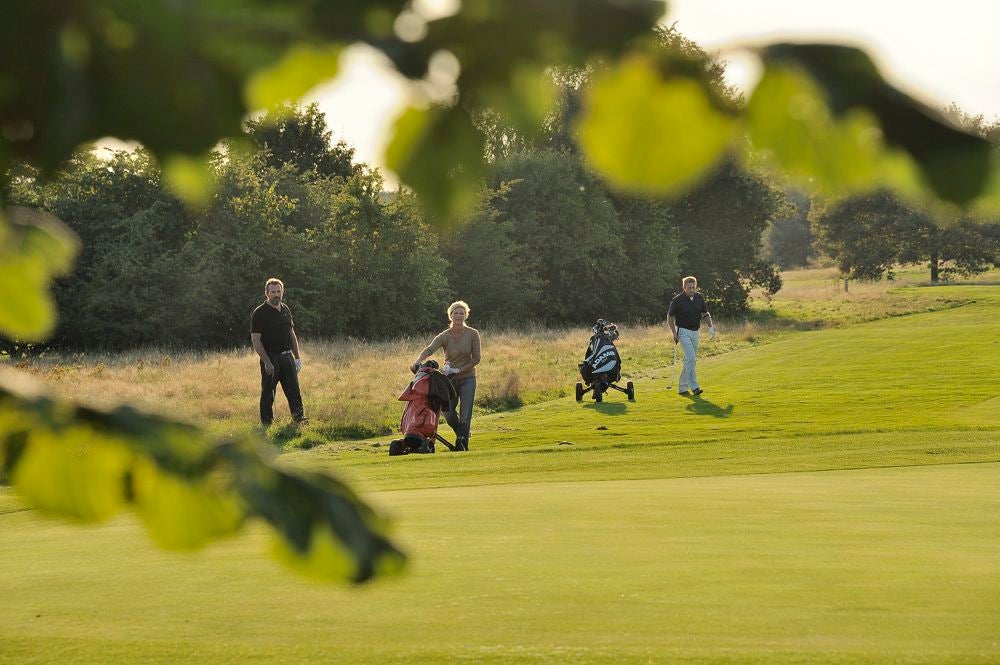edese_golf_115.jpg