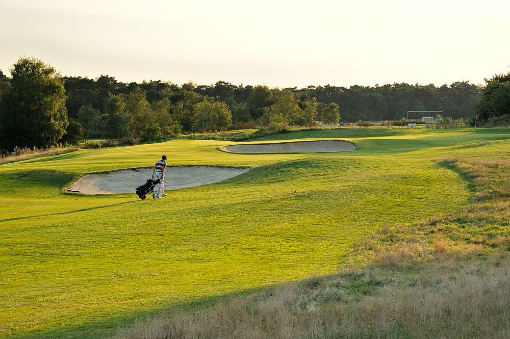 edese_golf_124.jpg
