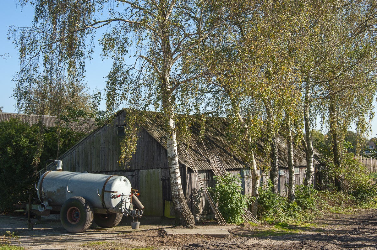 eeskooterpad_049.jpg
