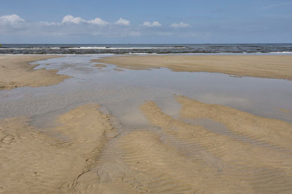 egmond_aan_zee_015.jpg