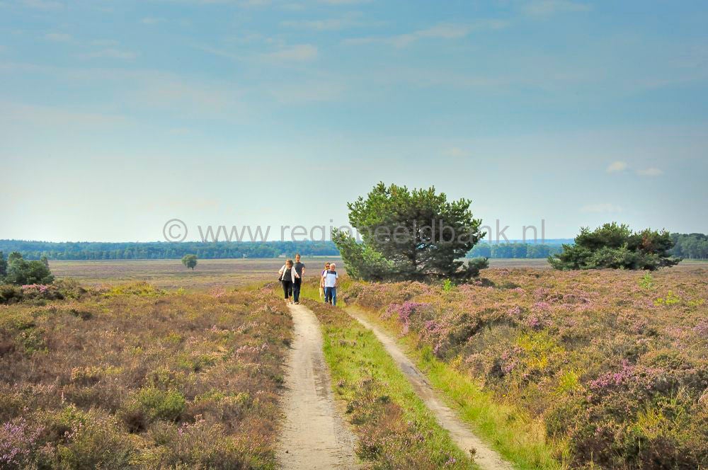 elspeet_stakenberg-0019.jpg
