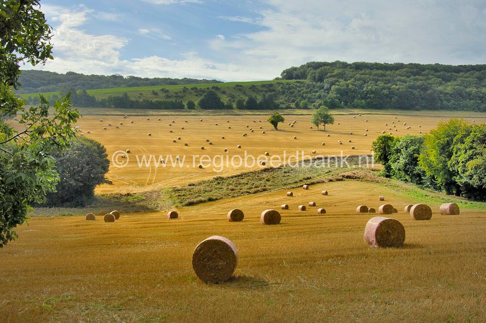 england_frontlinebritaintrail_0222.jpg