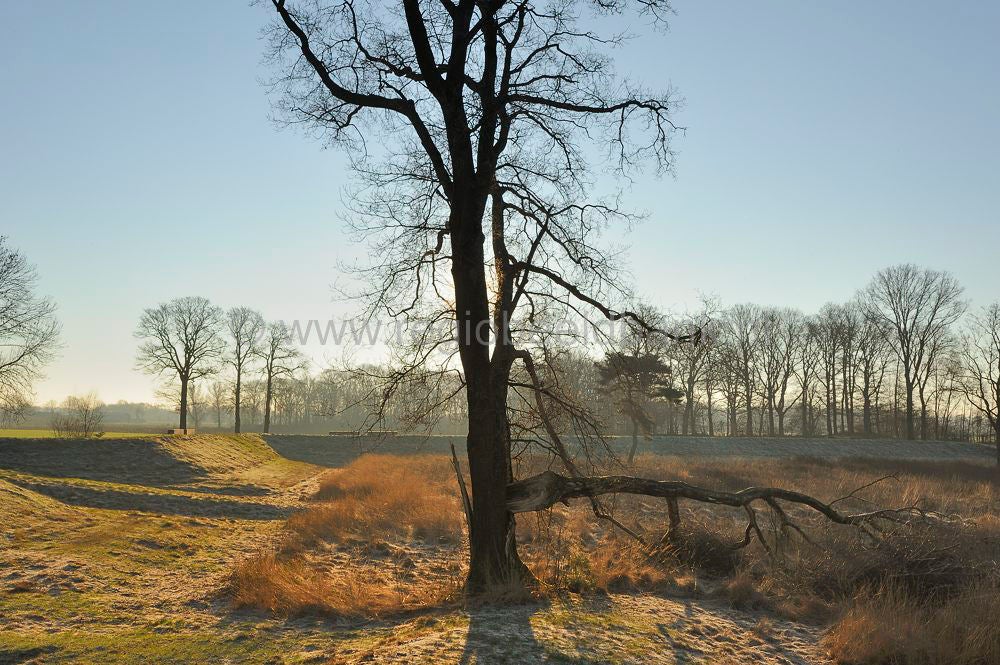 fort_daatselaar_048-1.jpg