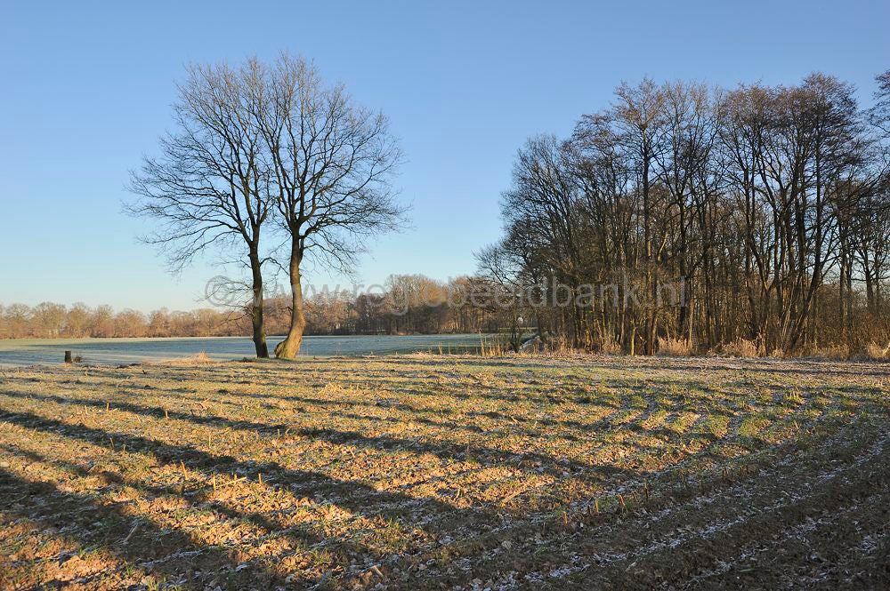 fort_daatselaar_056-1.jpg