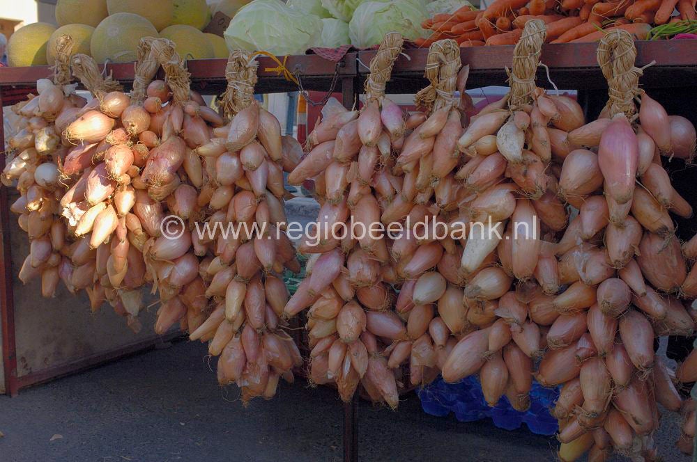 fruit_005.jpg