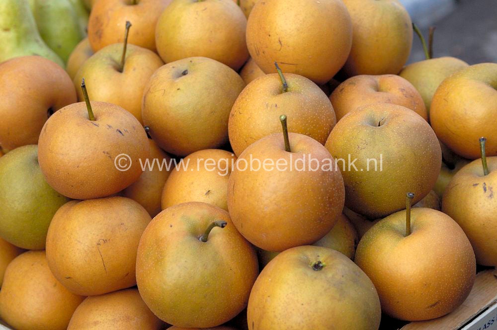 fruit_009.jpg