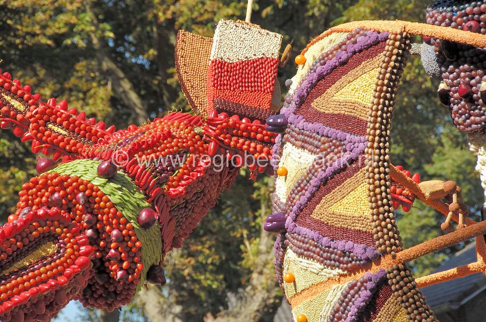 fruitcorso_015.jpg