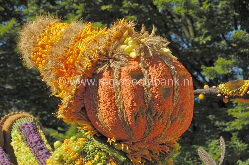 fruitcorso_019.jpg