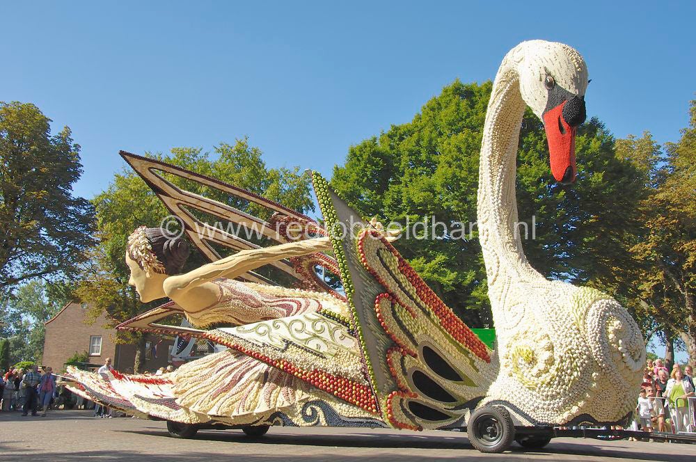fruitcorso_022.jpg
