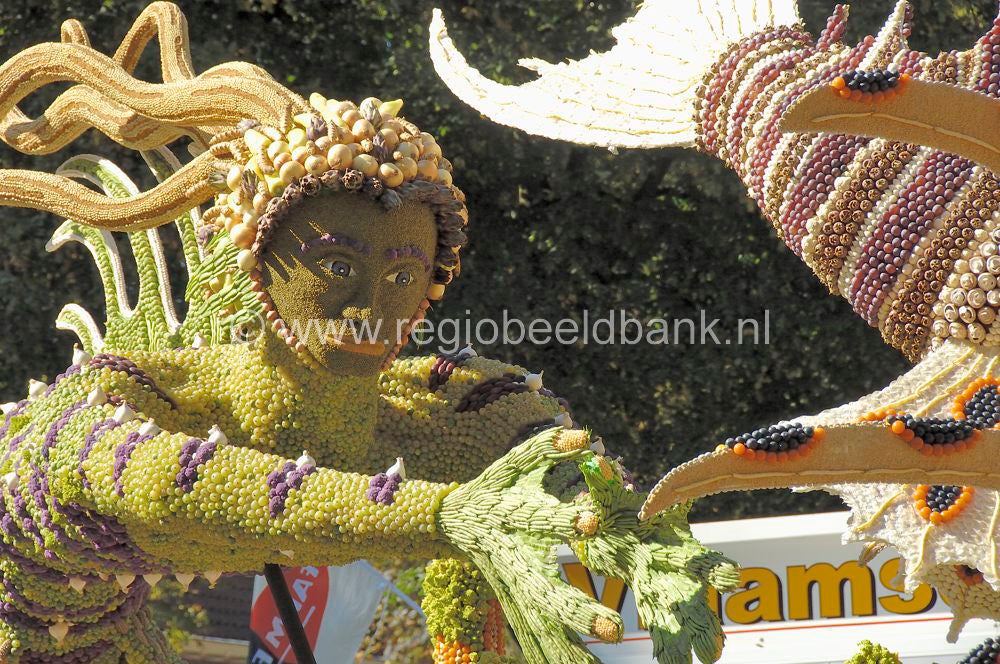 fruitcorso_026.jpg