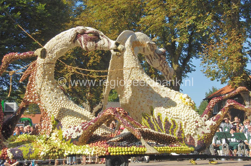 fruitcorso_038.jpg