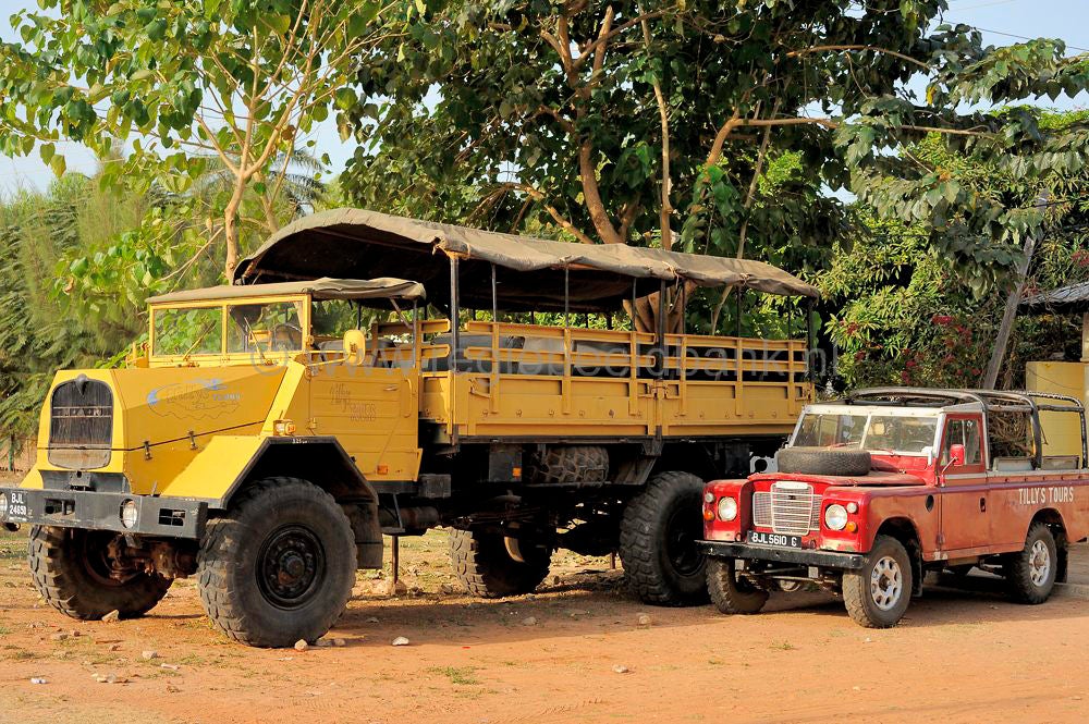 gambia_220.jpg