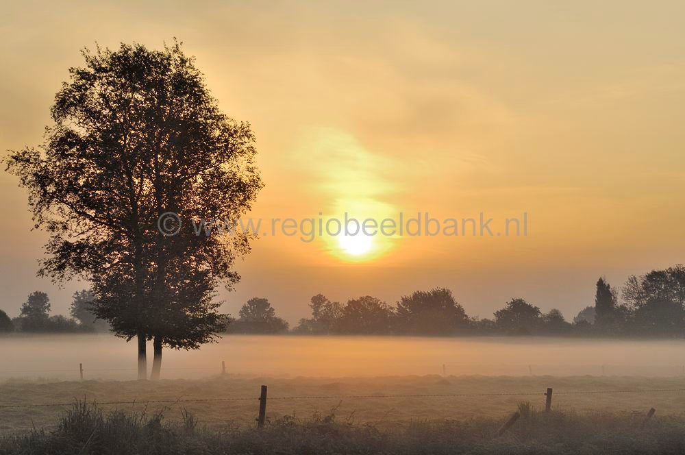 geldersevallei_360.jpg