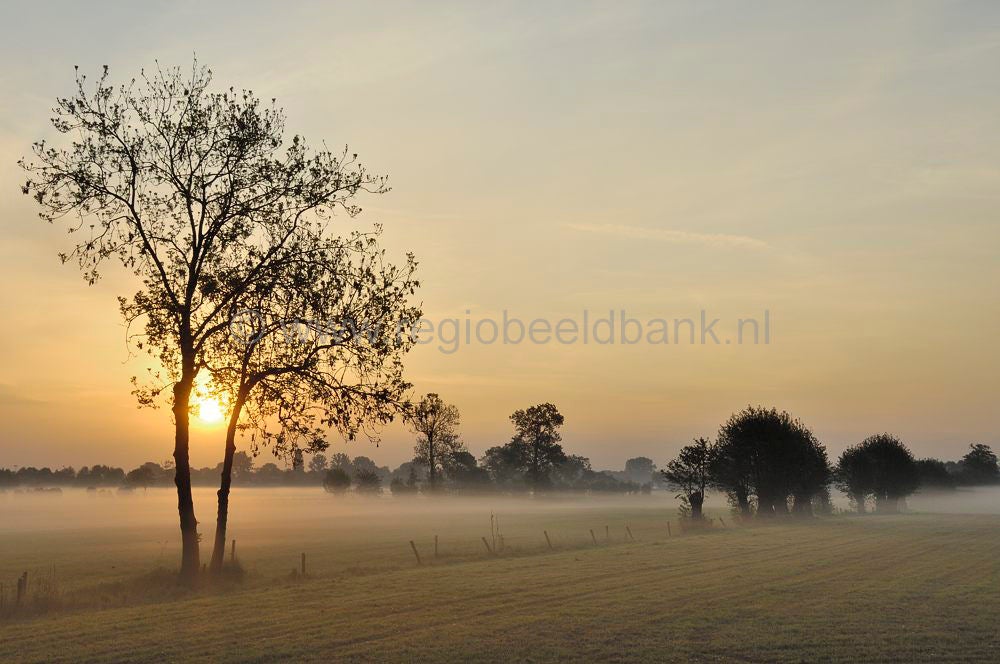 geldersevallei_364.jpg