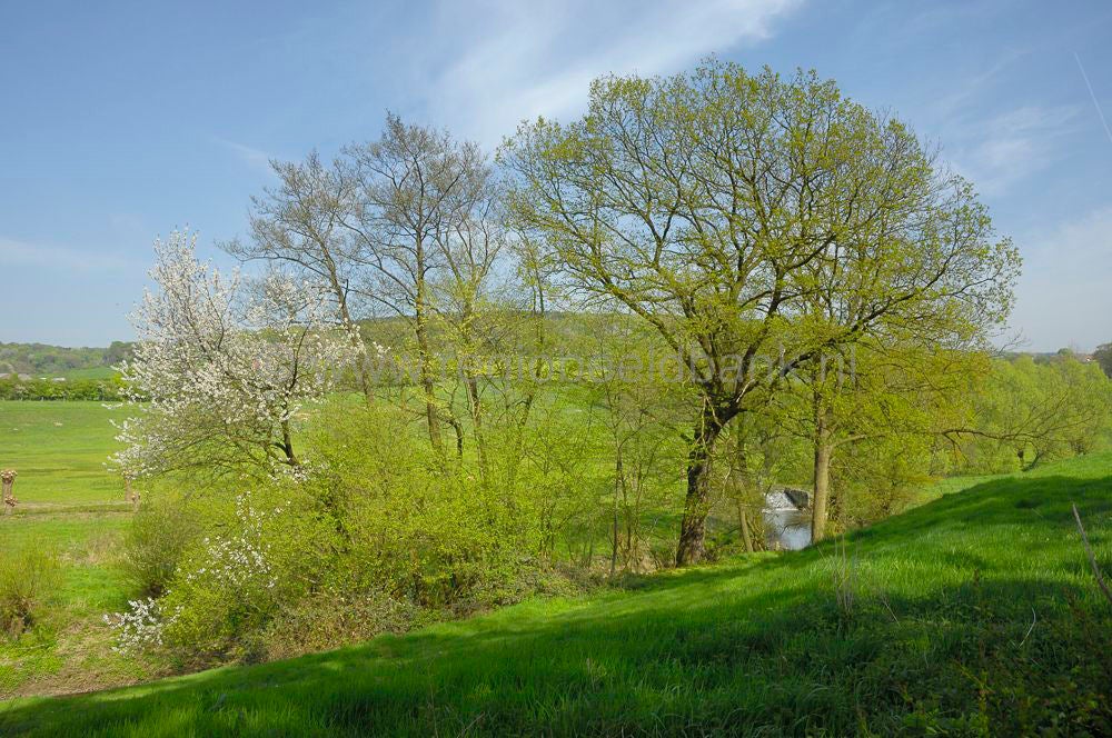 geuldal_epen_019.jpg