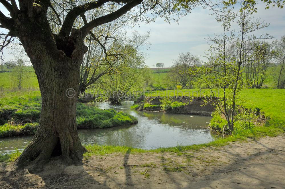 geuldal_epen_022.jpg