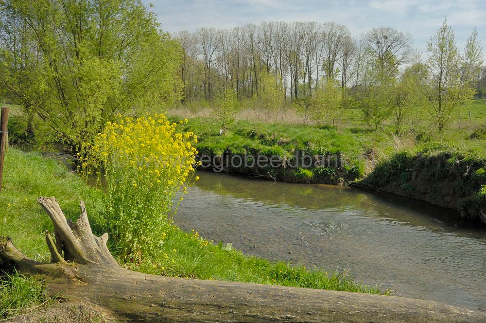geuldal_epen_024.jpg