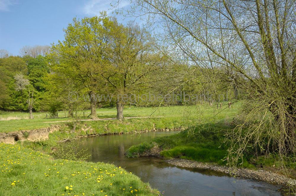 geuldal_epen_026.jpg