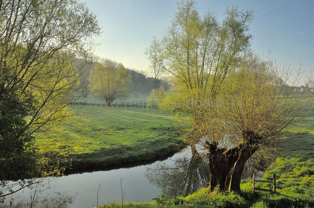 geuldal_epen_039.jpg