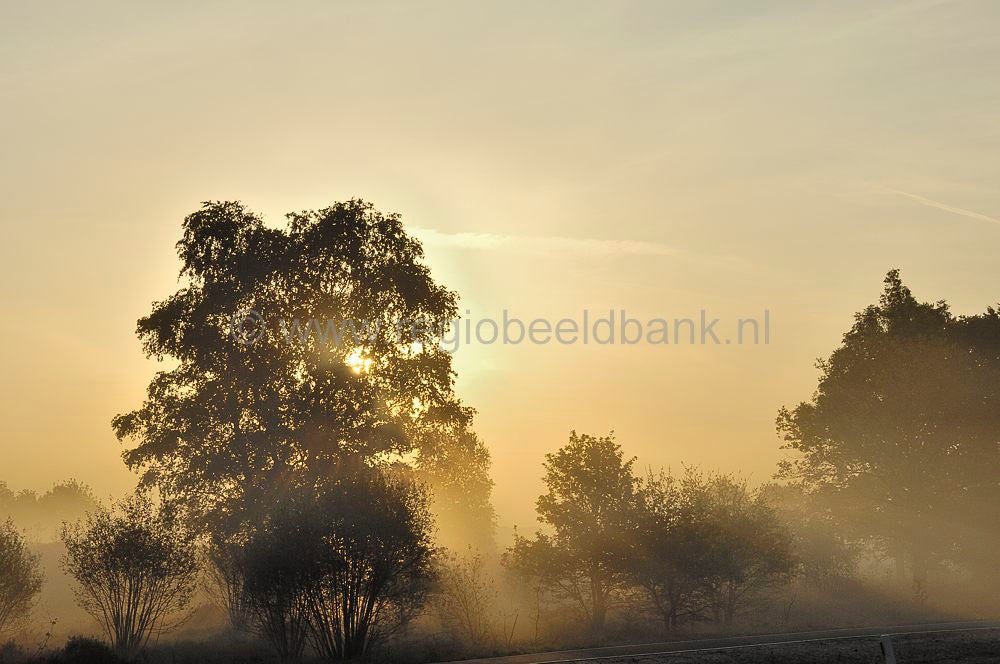 ginkelse_heide_001.jpg