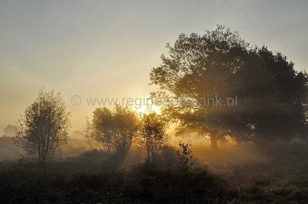 ginkelse_heide_003.jpg