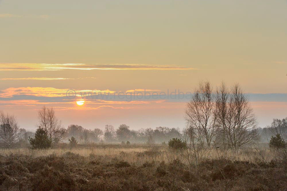 ginkelse_heide_006.jpg