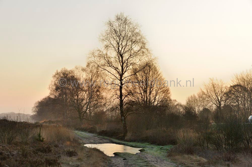 ginkelse_heide_008.jpg