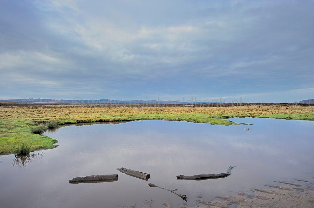 ginkelse_heide_010.jpg