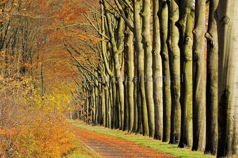 ginkelse_heide_018.jpg
