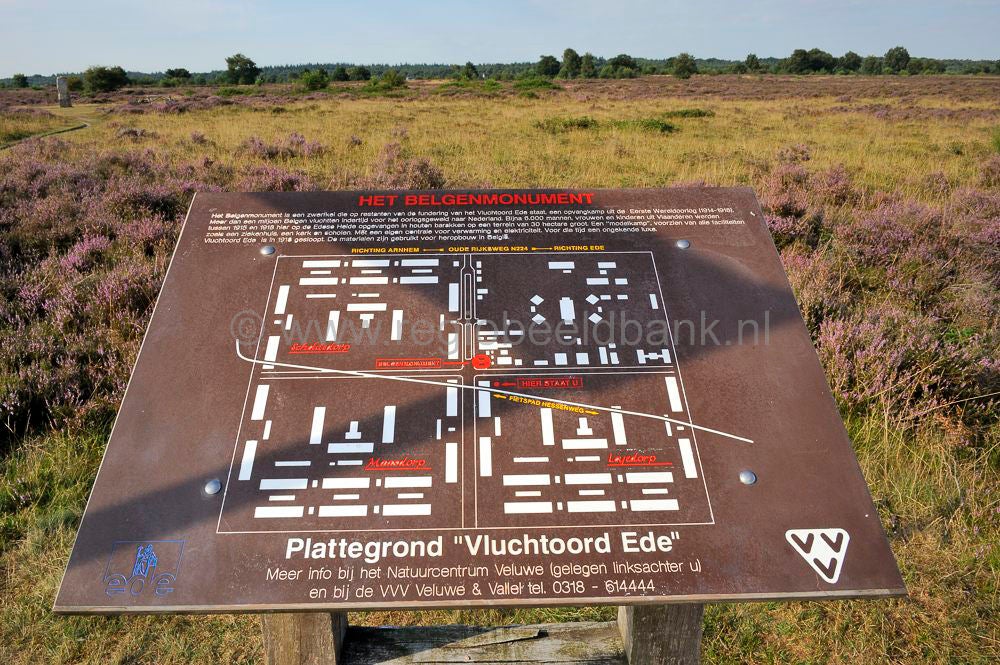 ginkelse_heide__075.jpg