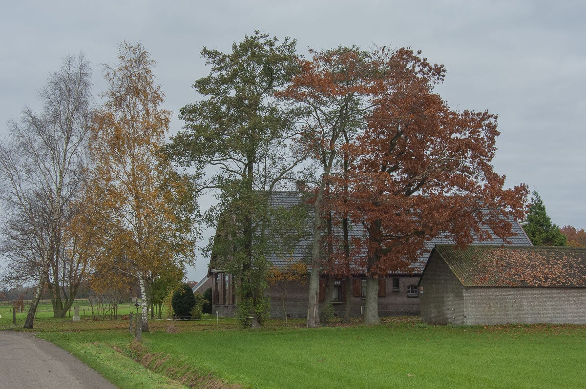 glindhorsterpad033.jpg