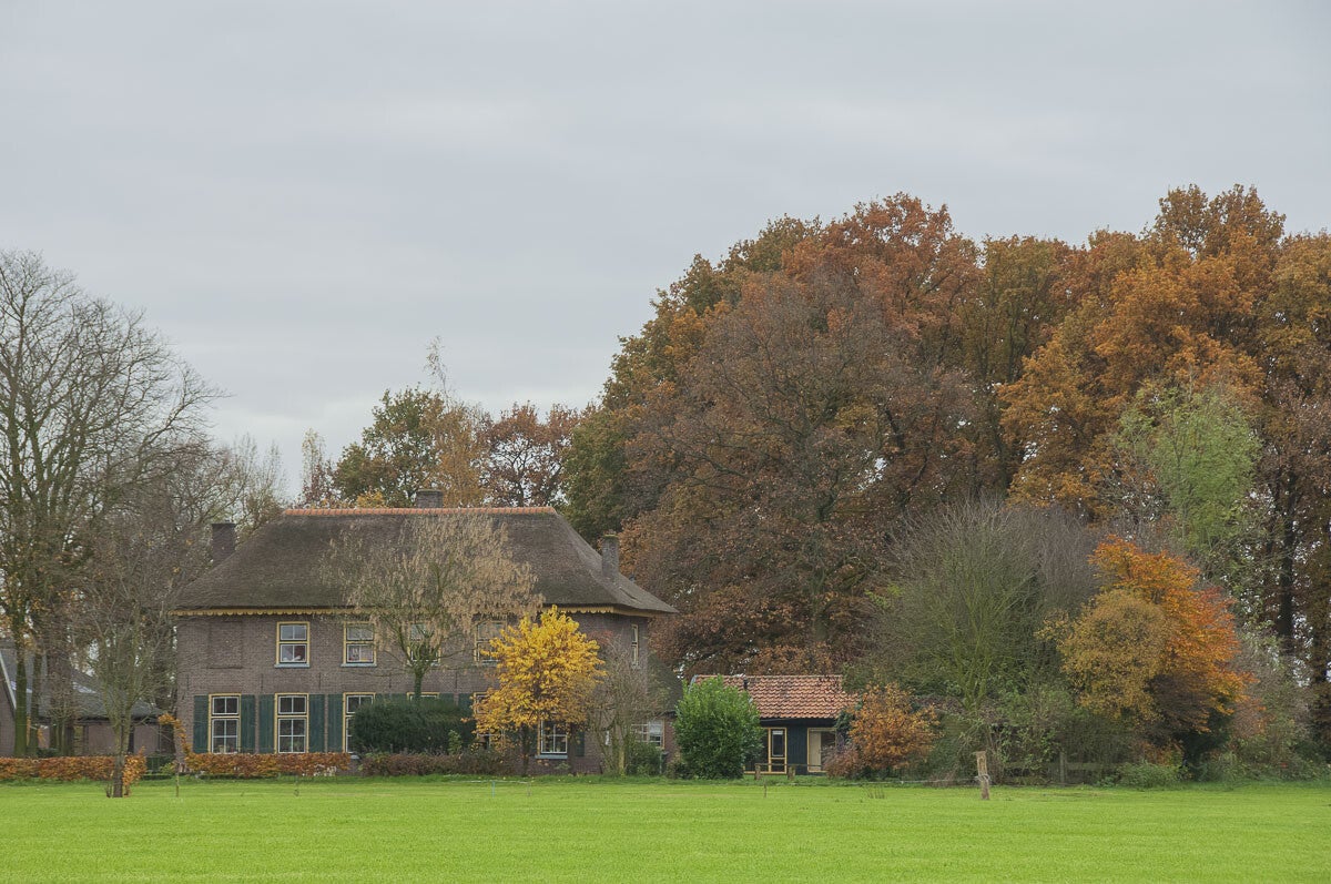 glindhorsterpad083.jpg