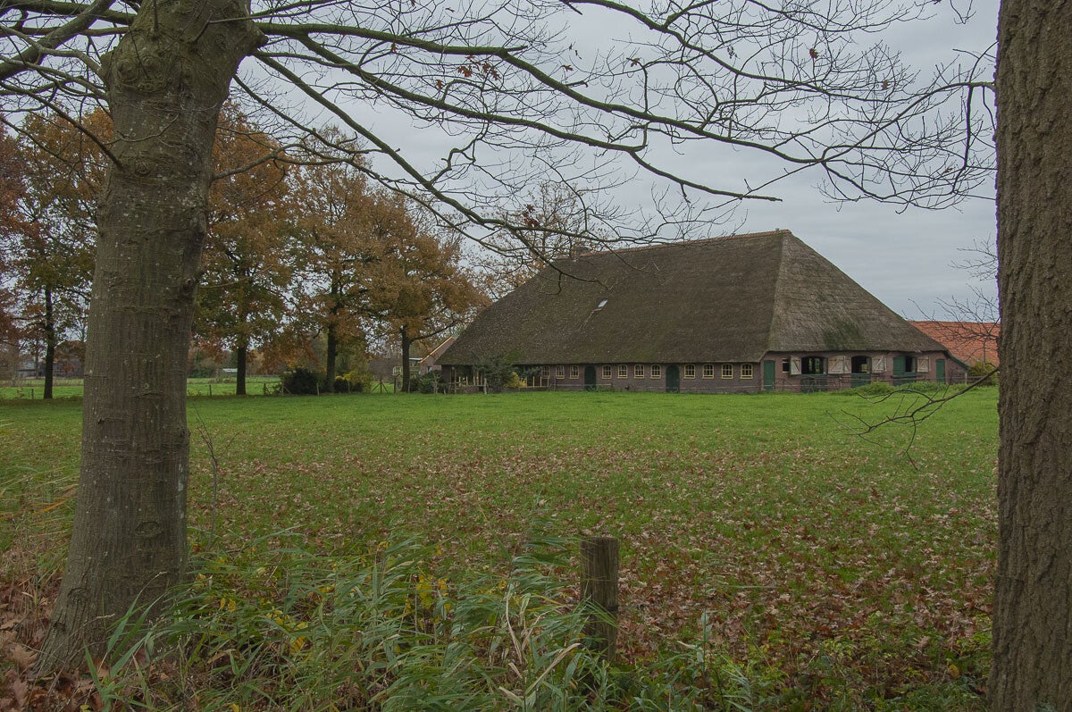 glindhorsterpad097.jpg