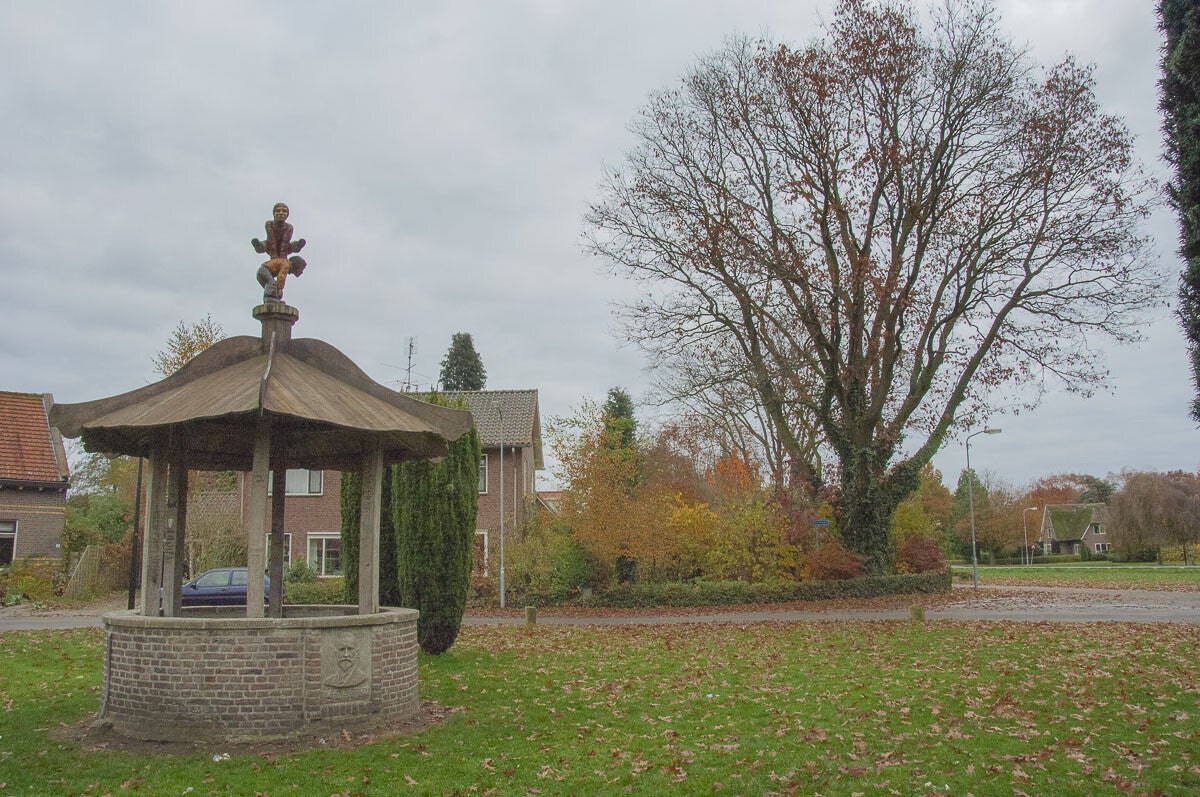 glindhorsterpad122-1.jpg