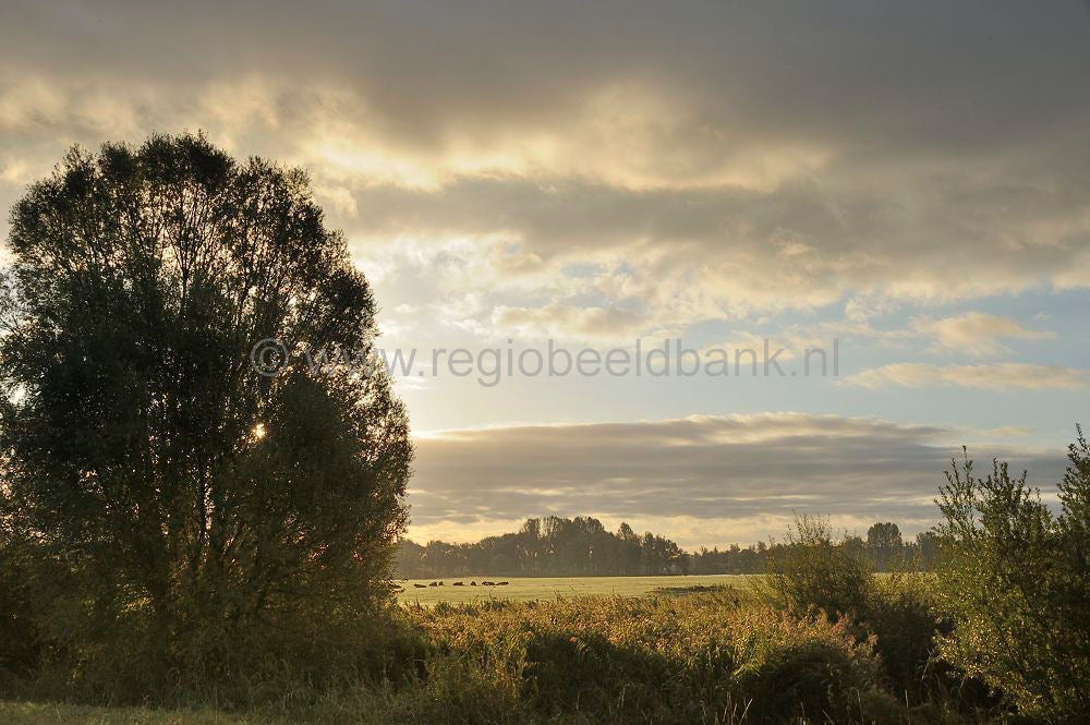 gorinchem_026.jpg