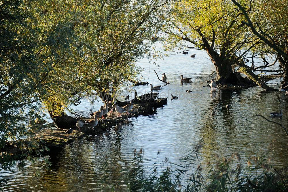 gorinchem_034.jpg