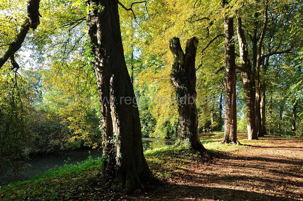 gorinchem_050.jpg