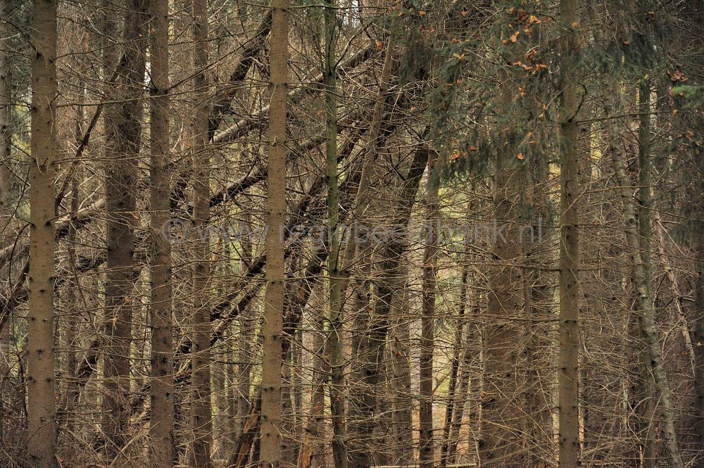 grebbeberg_063.jpg