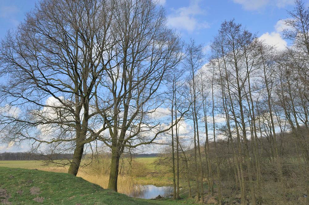 grebbelinie_042.jpg