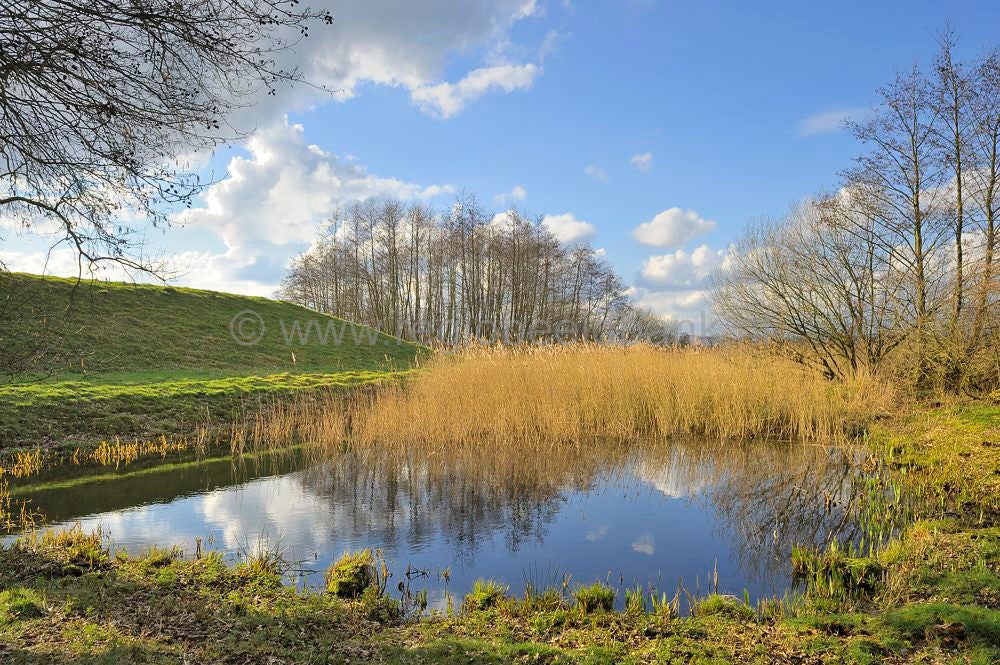 grebbelinie_045.jpg