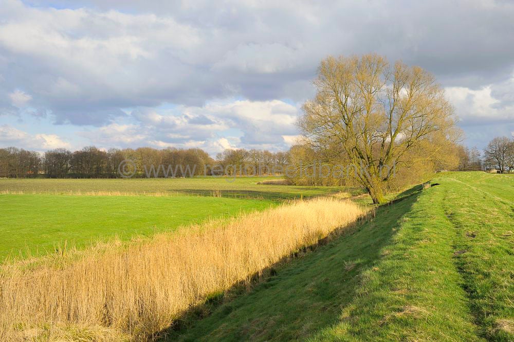 grebbelinie_049.jpg