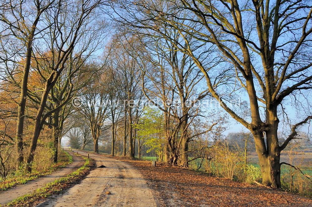 Batterij Schalmdijk