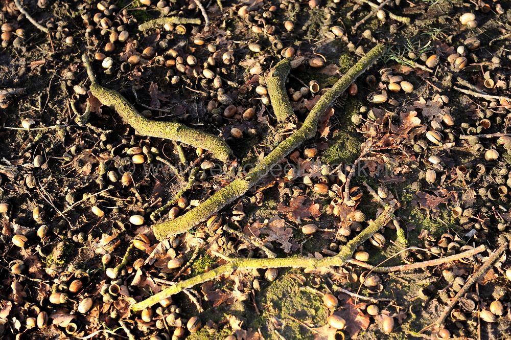 groot_zandbrink_006.jpg