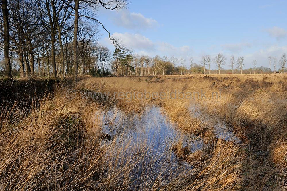 groot_zandbrink_008.jpg