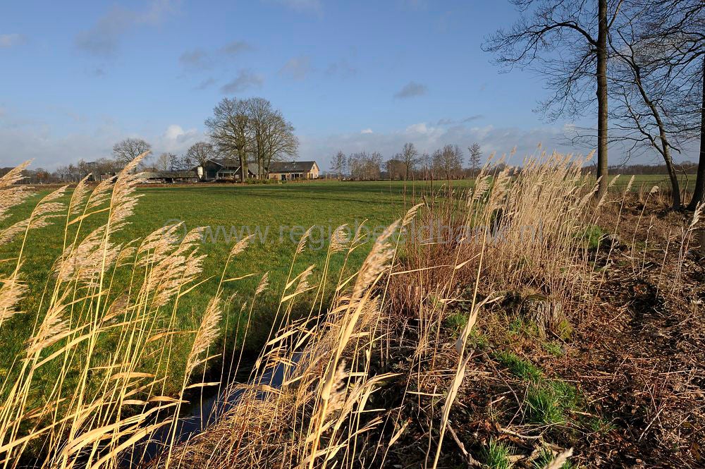 groot_zandbrink_030.jpg