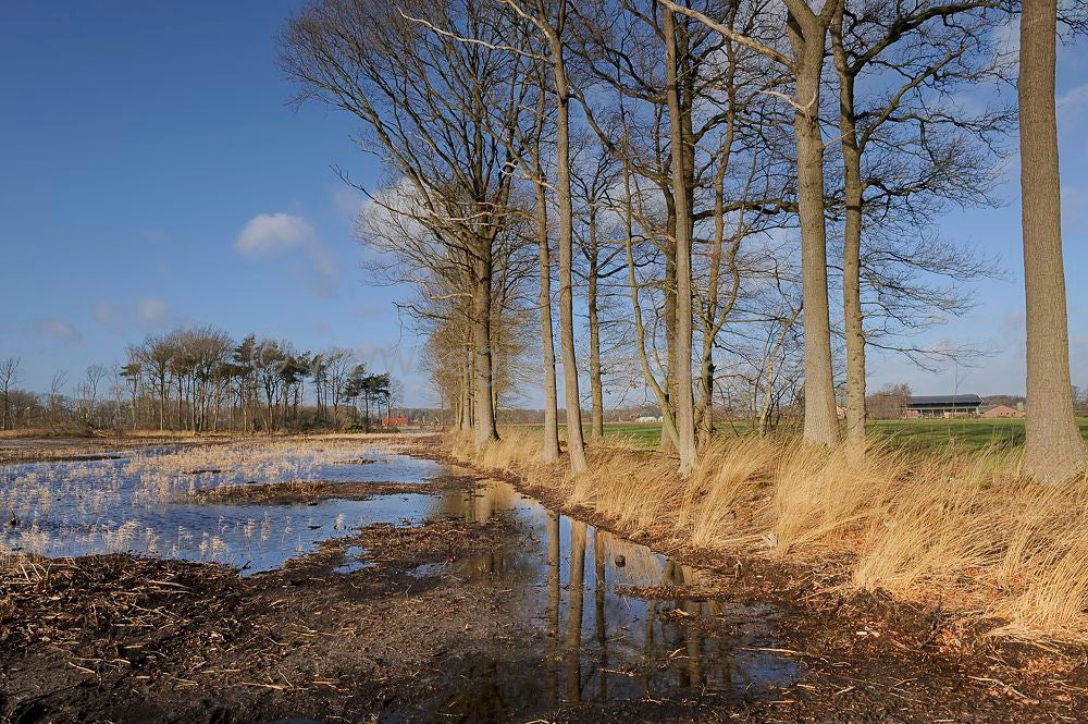 groot_zandbrink_045.jpg