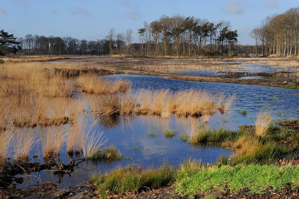 groot_zandbrink_050.jpg
