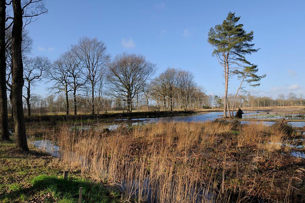 groot_zandbrink_058.jpg